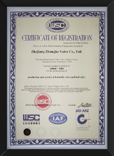 国际标准认证证书en